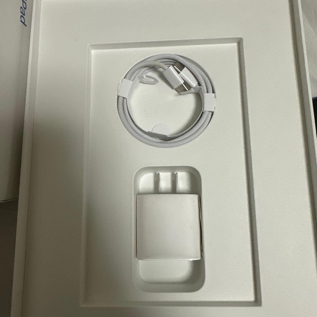 (本日のみ）Apple iPad第10世代本体 ブルー 充電器、ペン