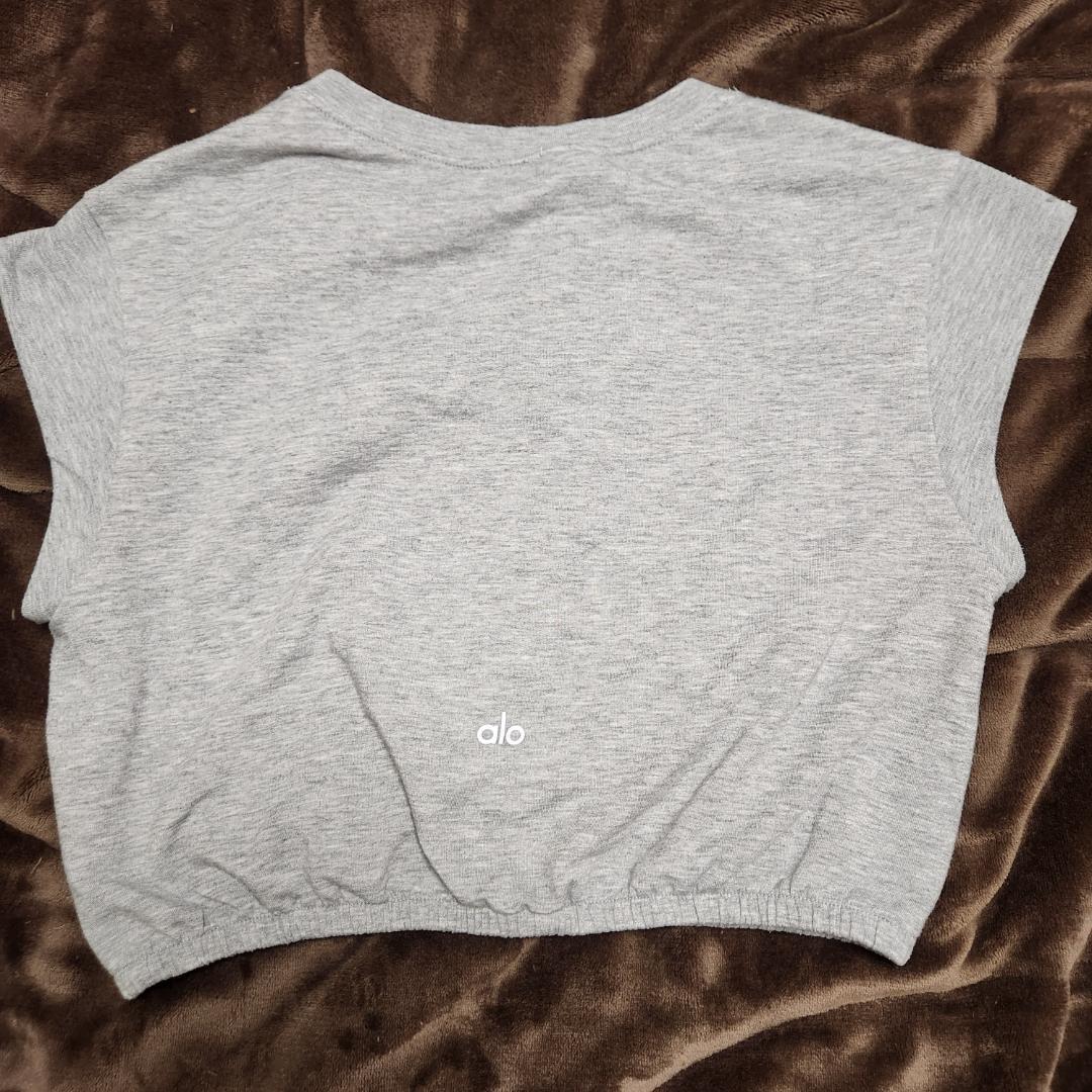 alo yoga Dream Crop Short Sleeve M ドーブグレ