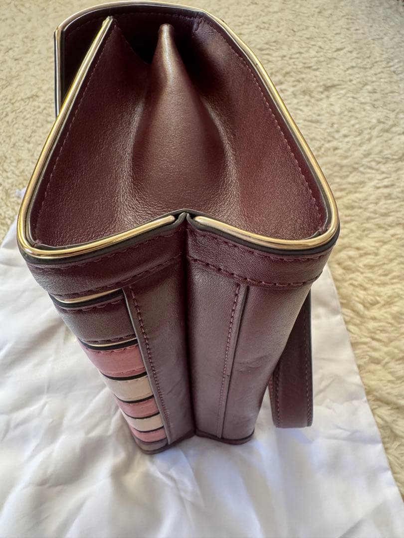 みーちゃん様　マイケルコース　ショルダーバッグ