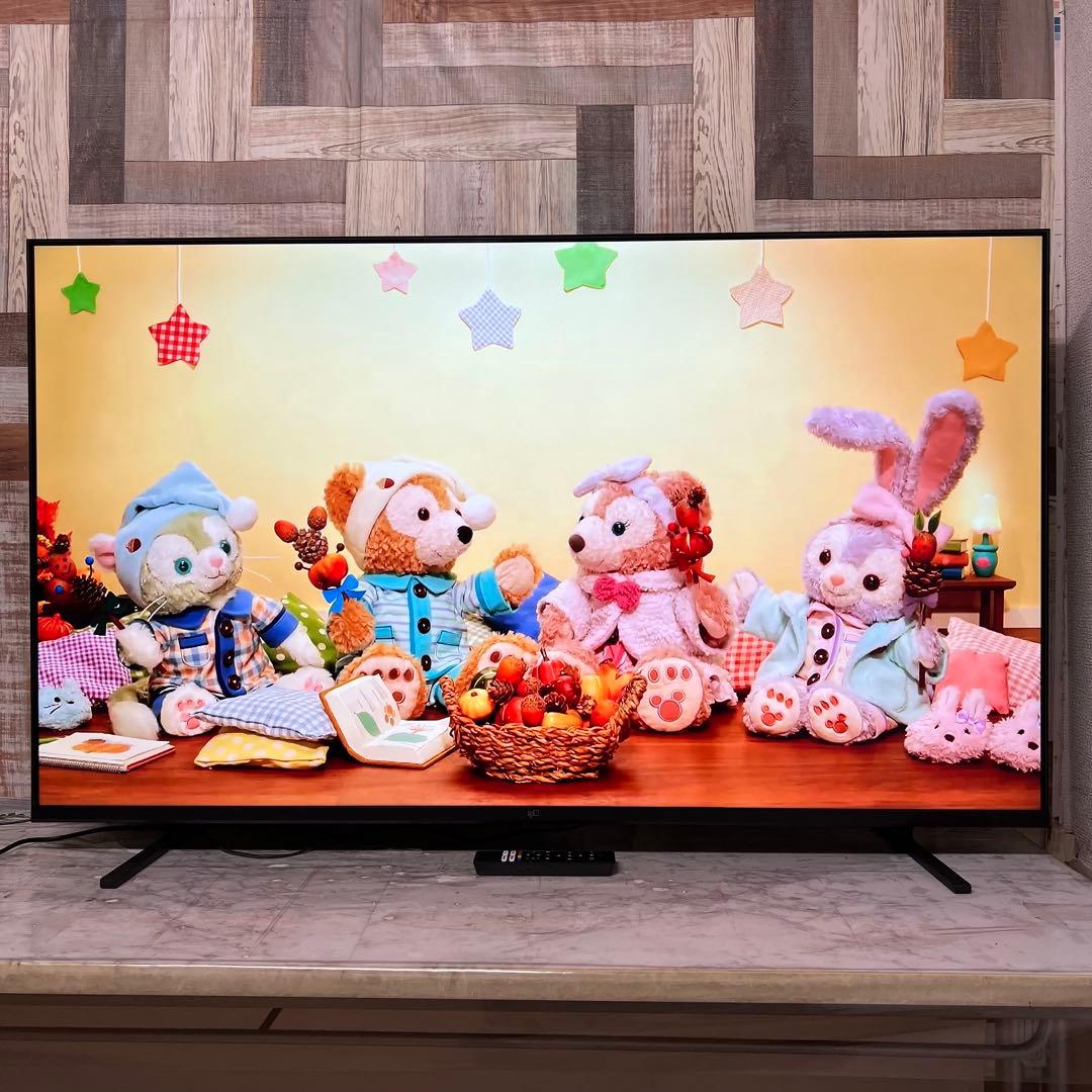 全国送料込❣️昨年購入FPD55T型4K液晶GoogleTV ネット動画多数