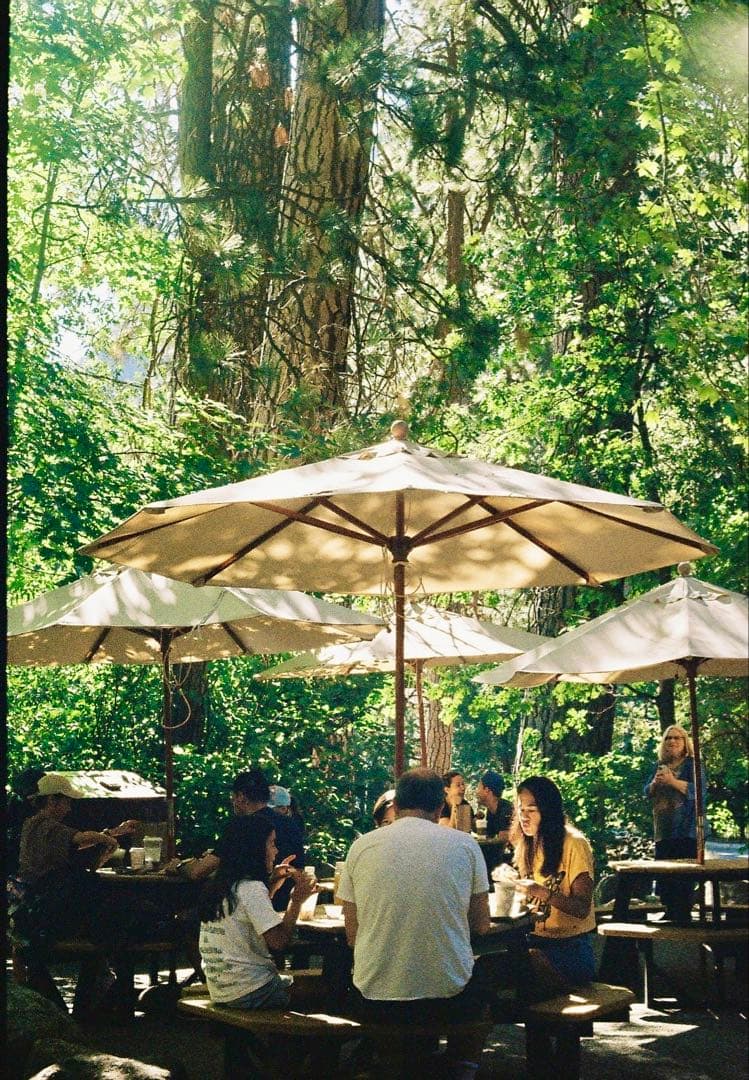 Olympus PEN-FT 単焦点レンズ付き フィルムカメラ