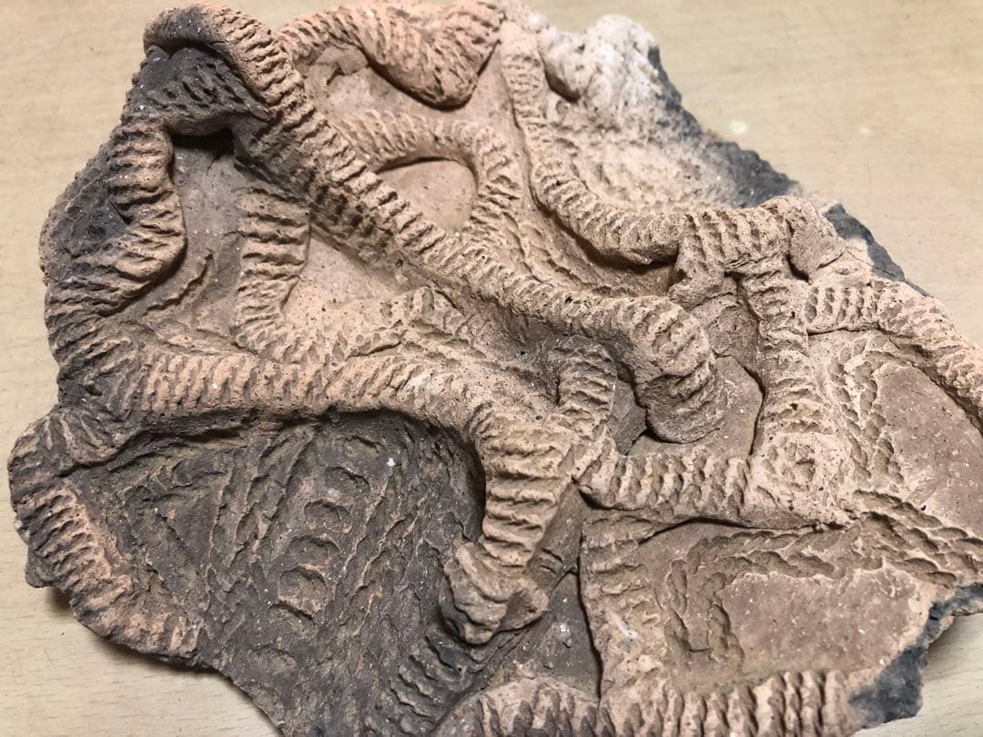 「土器の欠片 縁の部分 No.697」です。