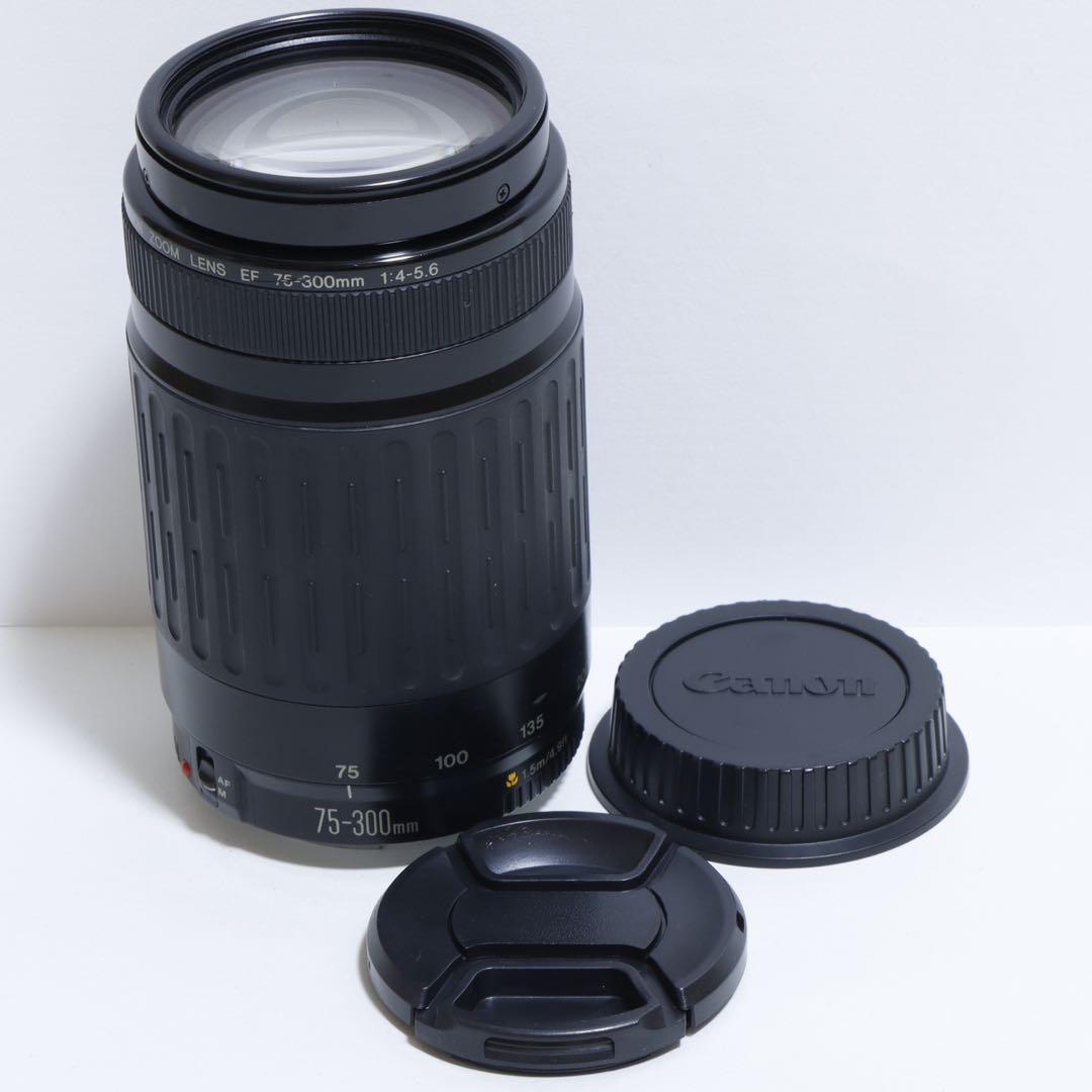 ◇大迫力300mm超望遠!!◇Canon純正 75-300mm 超望遠レンズ◇