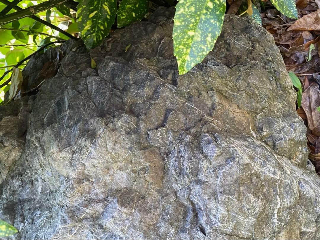 庭石 灰色 約75×80×45㎝ 自然石【石川県引き取り限定】まとめ割