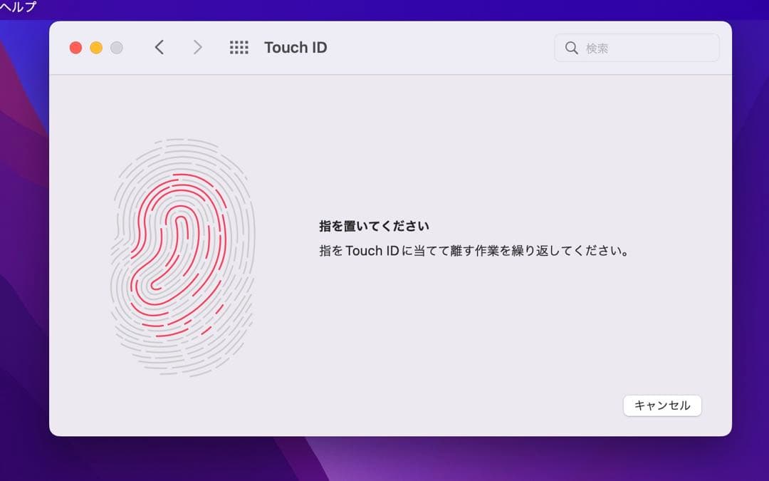 MacBook本体 Apple MacBook Pro 13 2016 i5/8GB/500GB