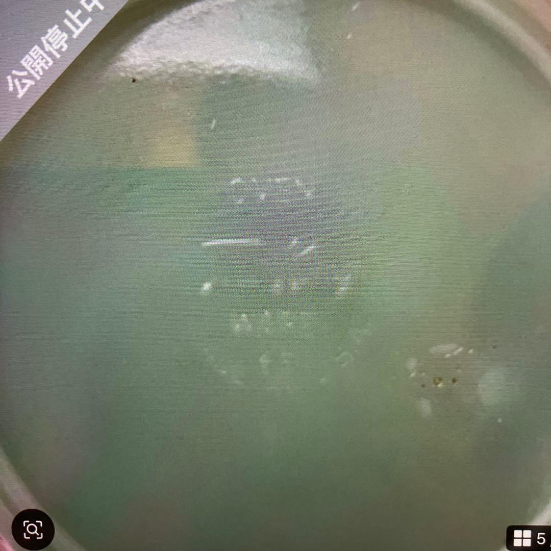 みびょ　ファイヤーキング　フィルビーリフコンテナ➕ボウル