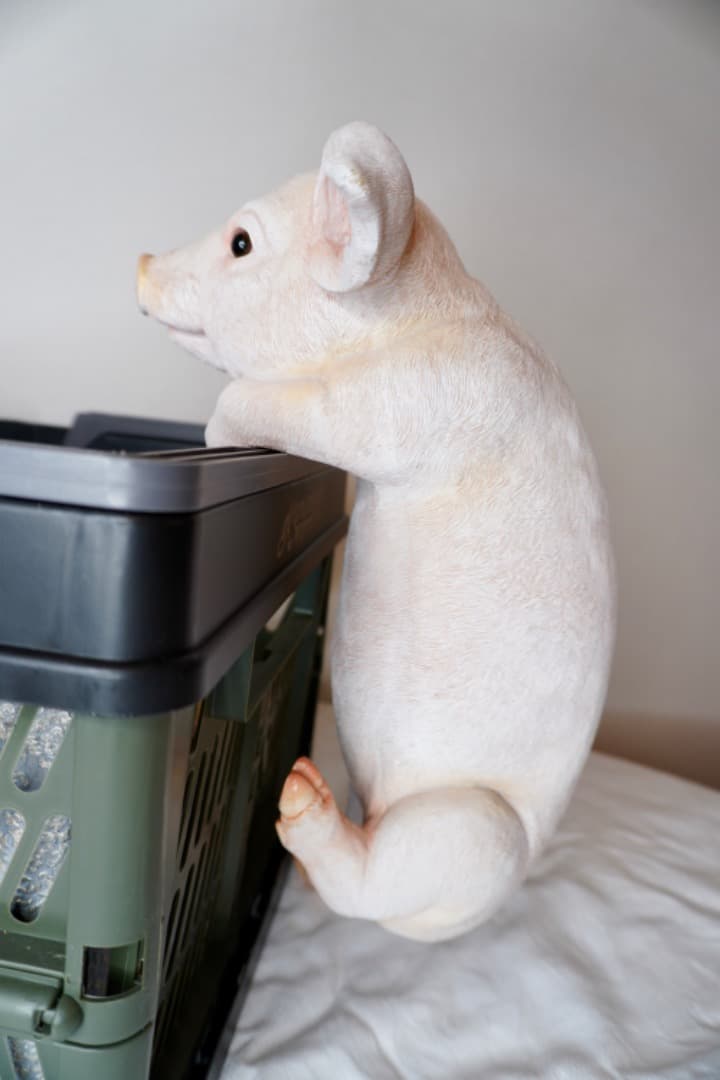 ブタさんのオブジェ 引っ掛けられる インテリア 置物