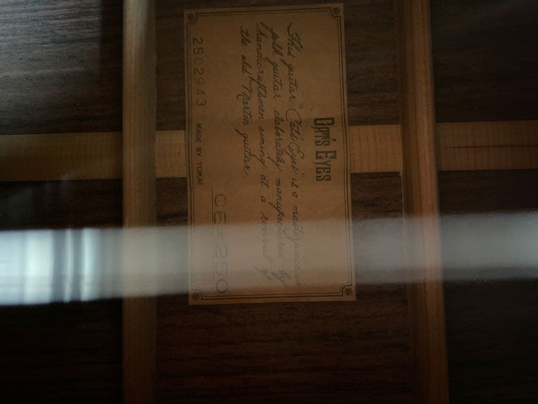 よっし〜 CATS EYES アコースティックギター