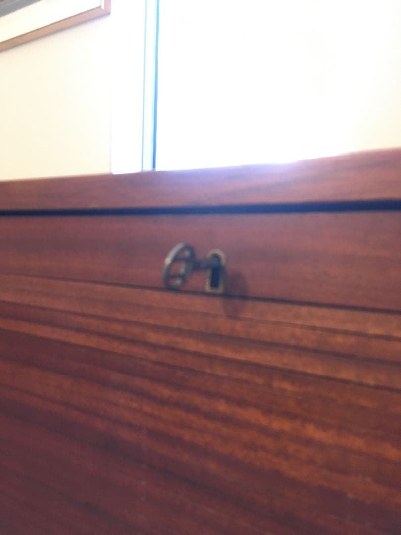 デンマーク　ビンテージ　脚付き蛇腹キャビネット　マホガニー　北欧ビンテージ