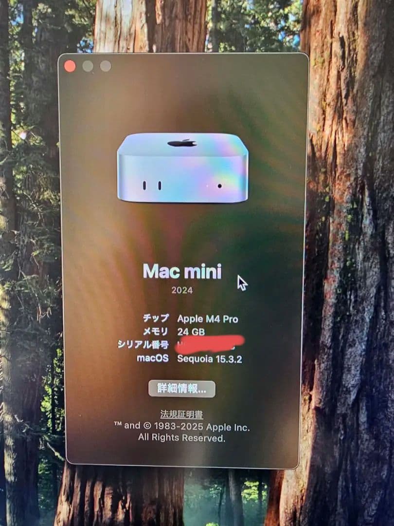 Mac mini M4 Pro 24GB 512GB 保証付