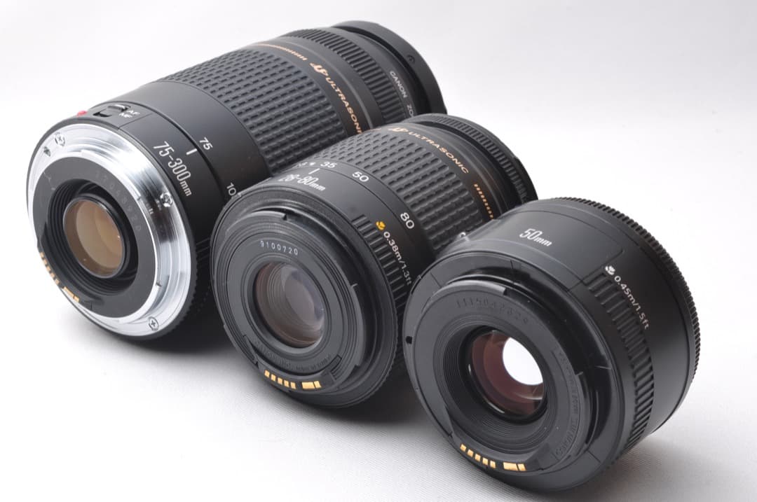 Canon EOS 5D Mark IV 超望遠トリプルレンズセット