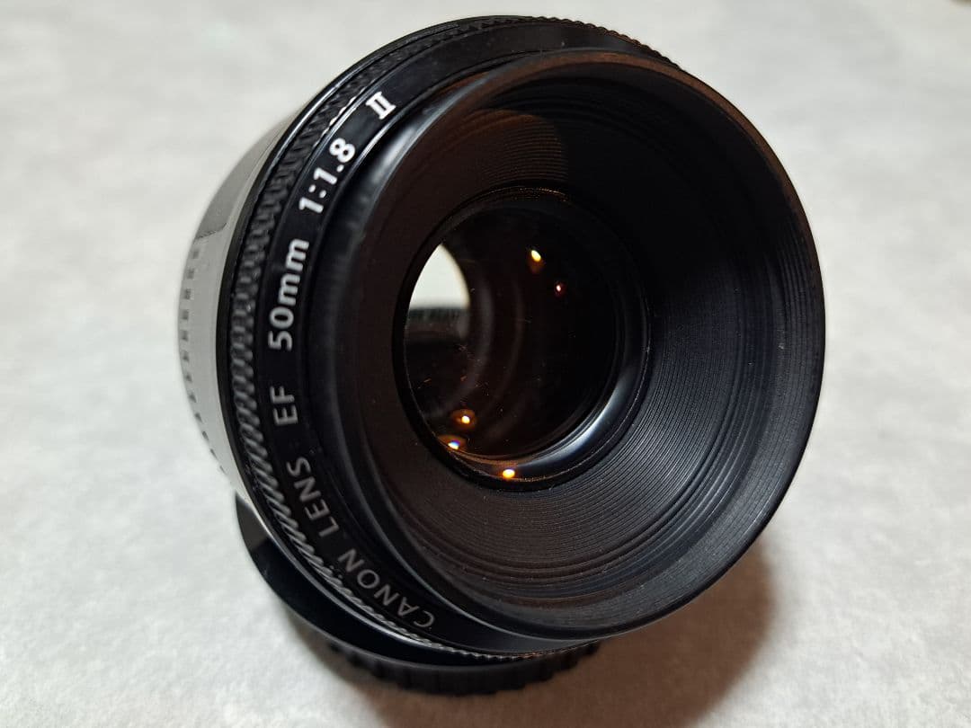 Canon EF 50mm f/1.8 II と標準ズームセット