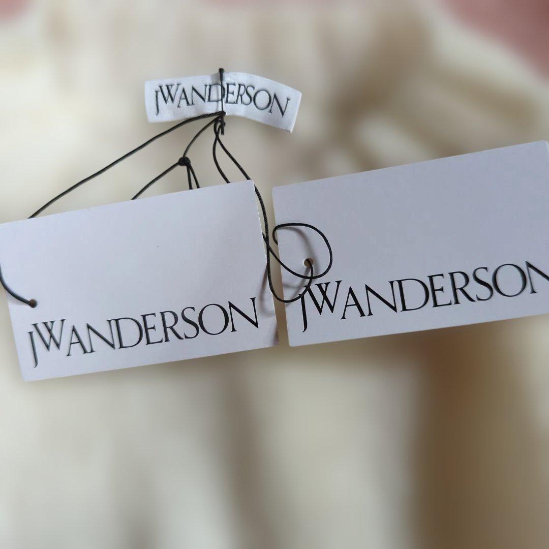 専用新品未使用未試着タグ付き JW ANDERSON Radish プルオーバー