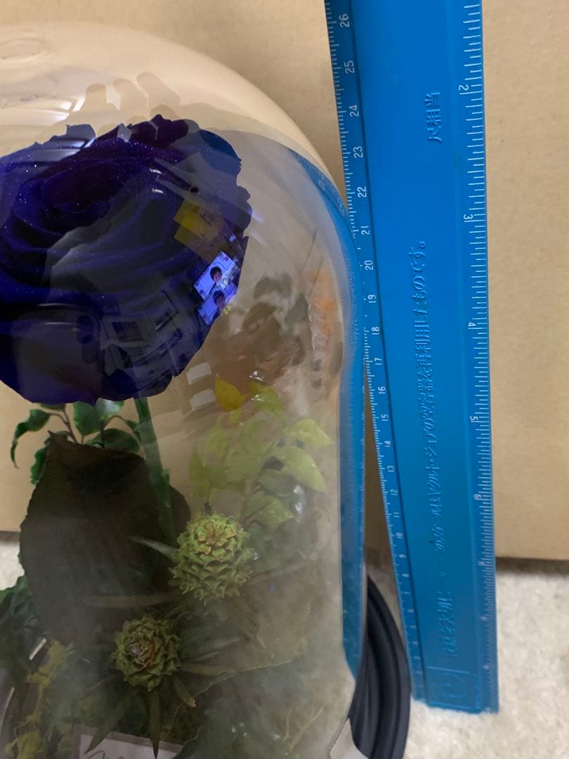 青い薔薇プリザーブドフラワー ガラスドーム付き Miracle