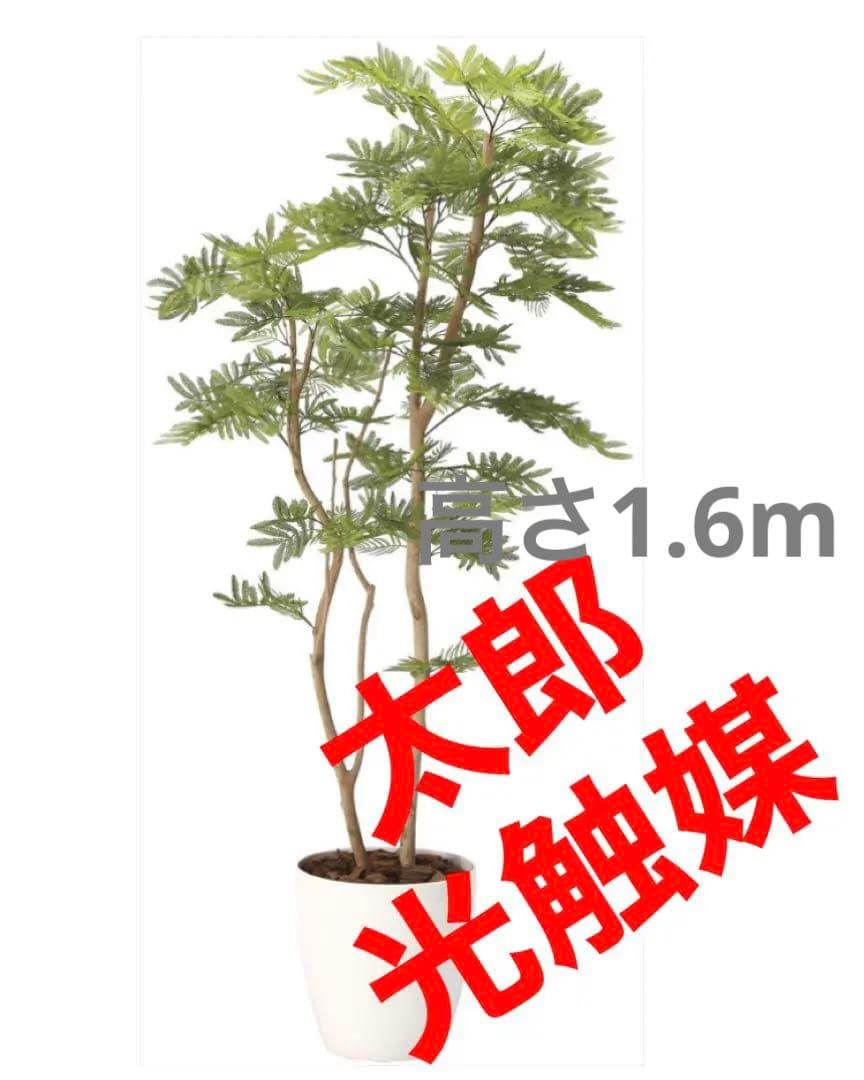 光触媒　人工観葉植物　ウォールグリーン　フェイクグリーン　ねむの木1.6m