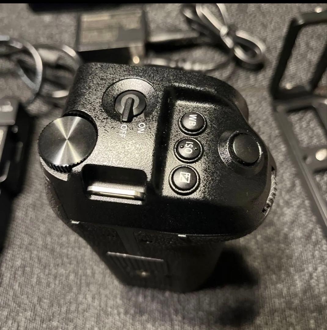 LUMIX S1R バッテリー5個　バッテリーグリップ他【1月中】