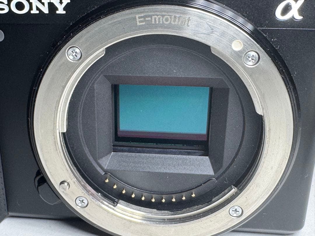 SONY ZV-E10 ボディ　(ワンオーナー)