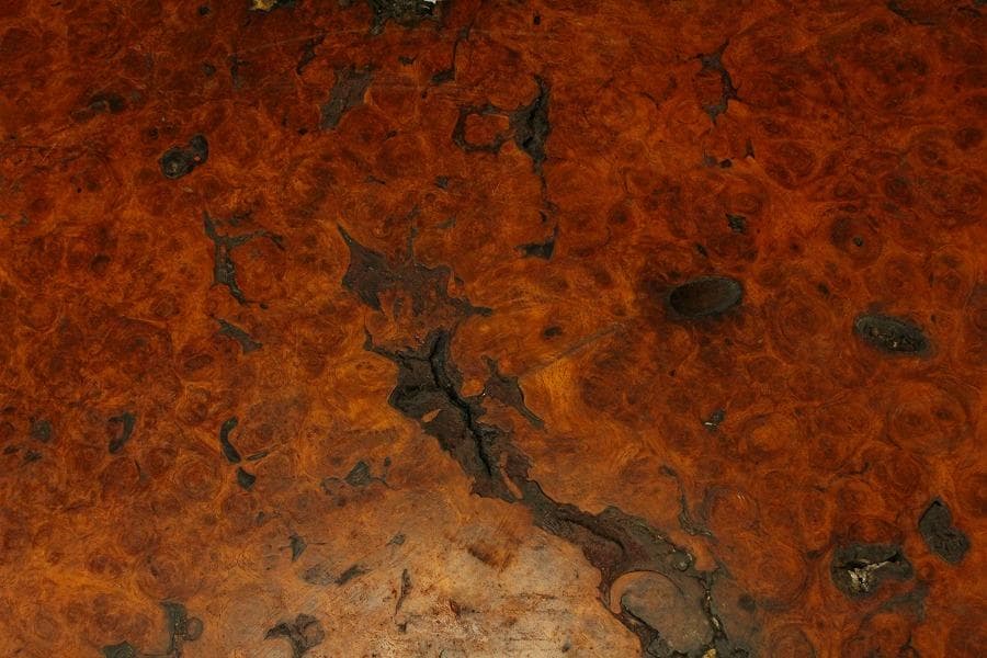 葡萄木 自然木 瘤 敷板 78cm×56cm 花梨 紅木 銘木(A466)