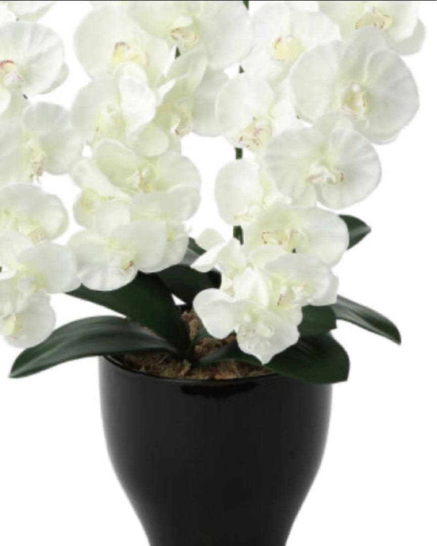 光触媒　人工観葉植物　ウォールグリーン　フェイクグリーン　プレミアム胡蝶蘭W