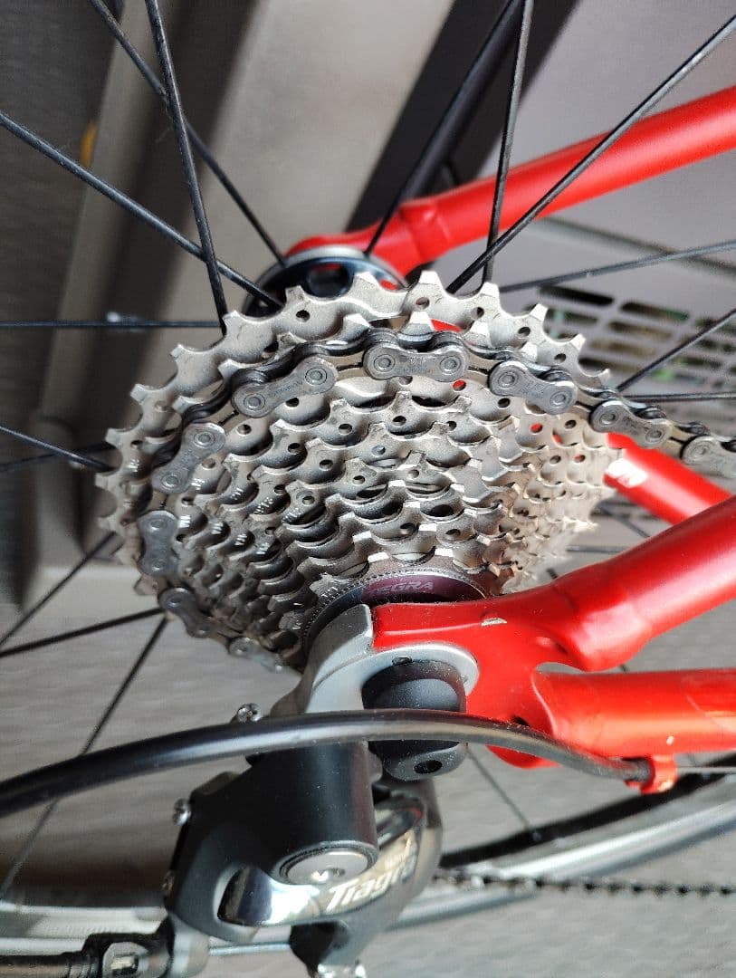 KhodaaBloom FARNA TIAGRA　コーダブルーム　ファーナ