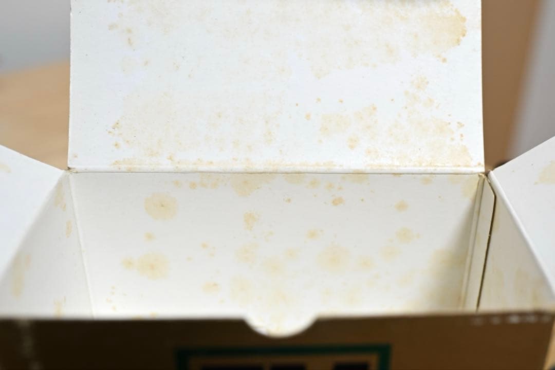 Nikon EM 一眼レフフィルムカメラ レンズ付き