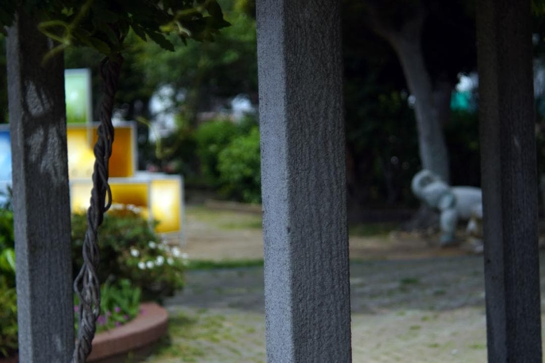 55 未使用　バブルボケレンズ Pentacon（Diaplan)80mmM42