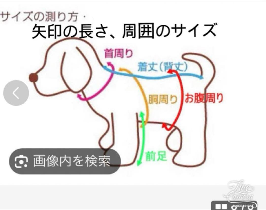 B462.pon2pan2☆犬オーダー有松絞りお着物☆犬オーダーお引き摺りお着物