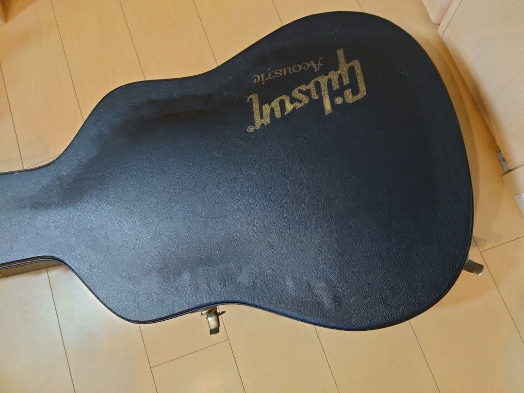 【Gibson　CustomShop　DovesIn　 Flight 2009】