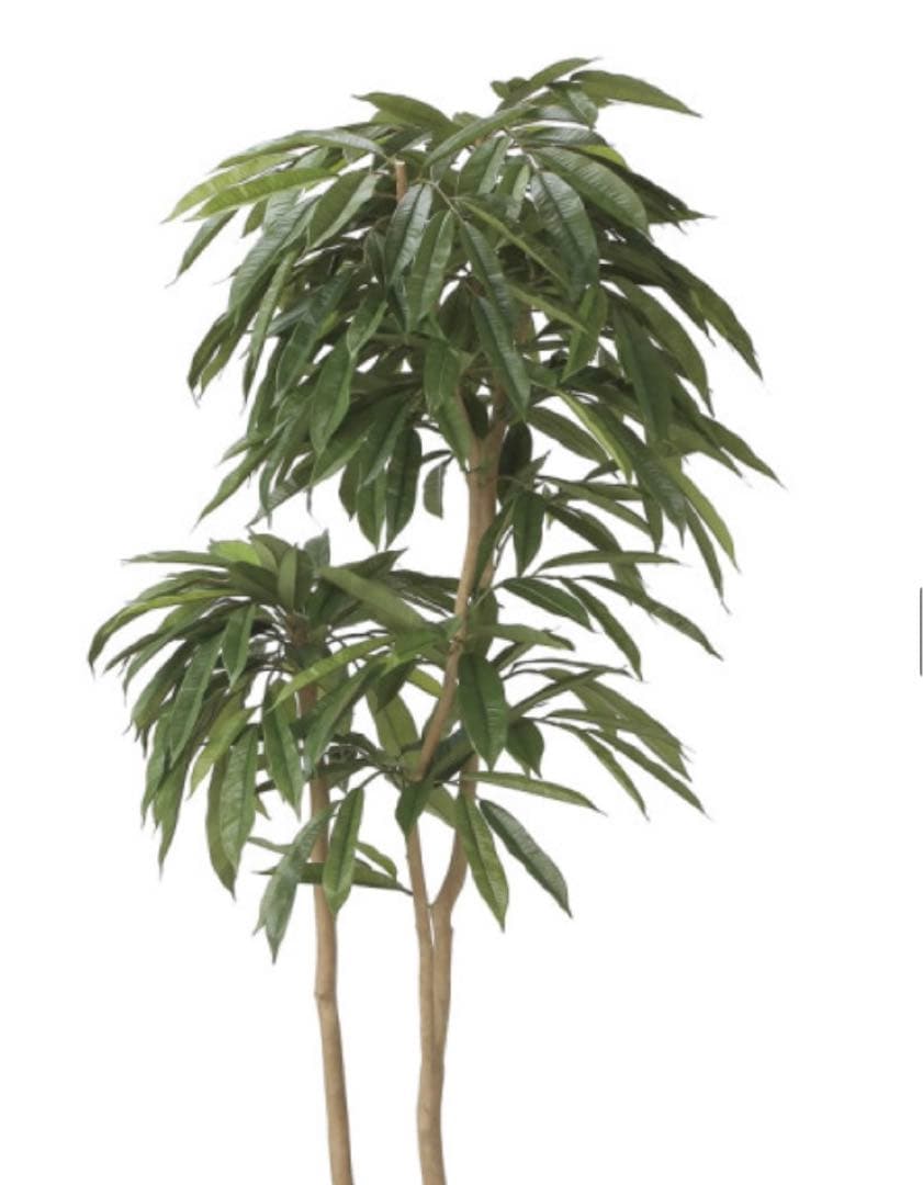 光触媒　人工観葉植物　フェイクグリーン　アムステルラバーキング1.8