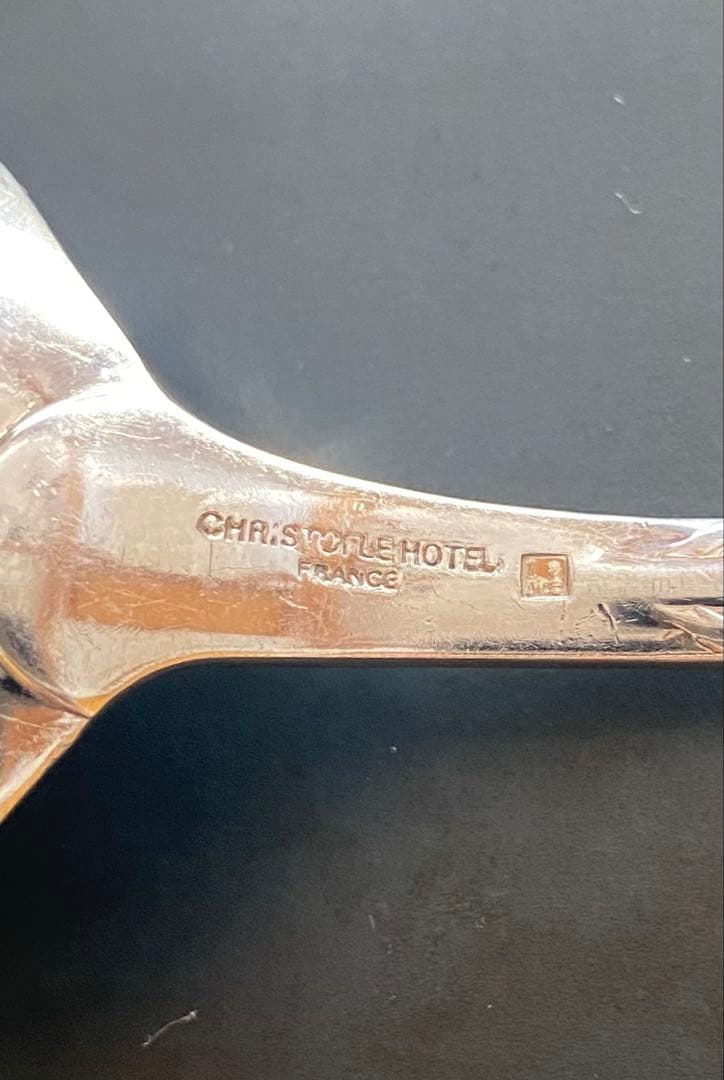 クリストフルホテルカトラリーセット 10点