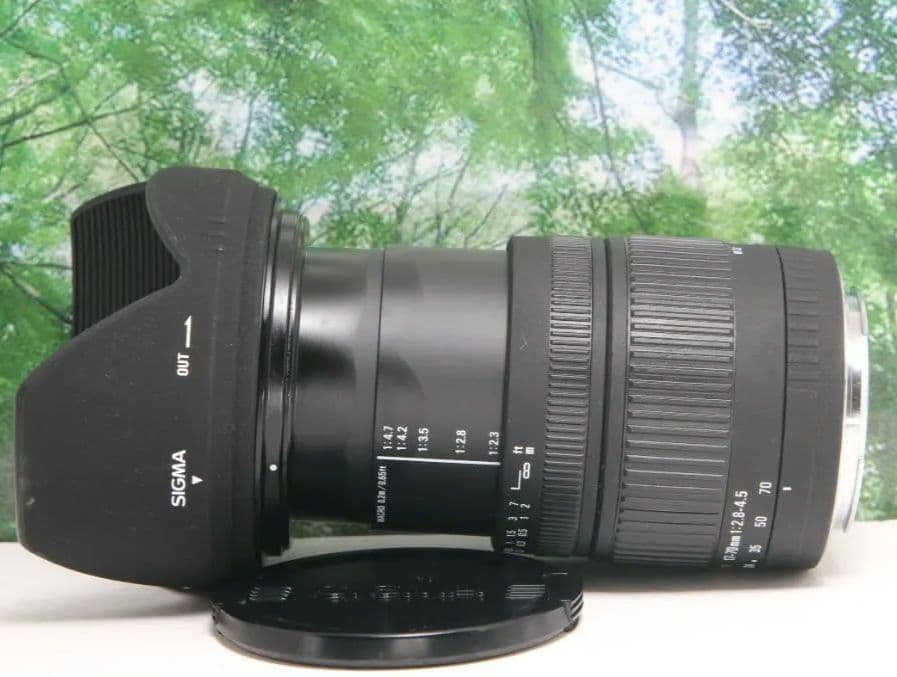 ❤️大評判神レンズ♪SIGMA 17-70mm f2.8-4.5 キヤノン用❤️