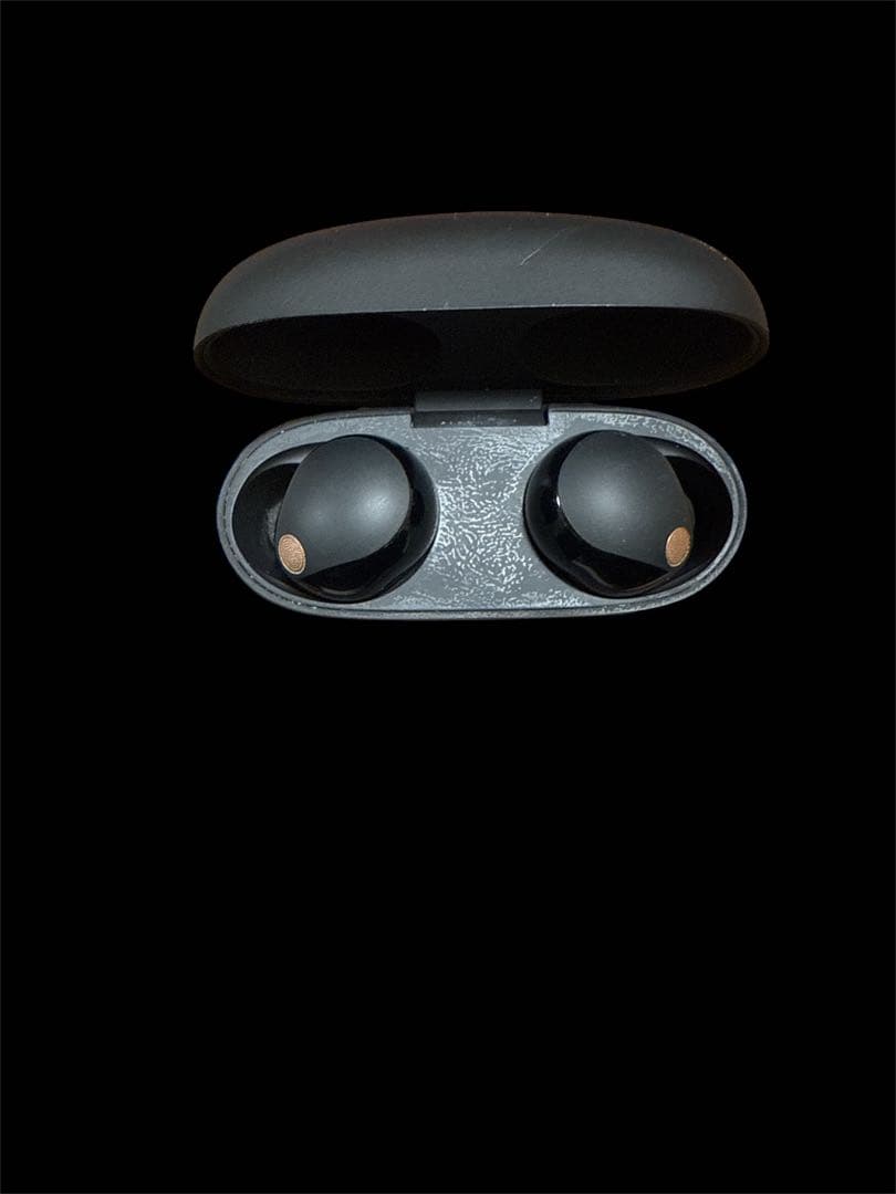 WF-1000XM5 Sonnyノイズキャンセリングイヤホン