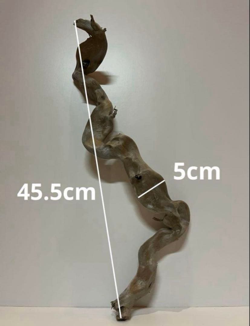 大型　流木【2129】