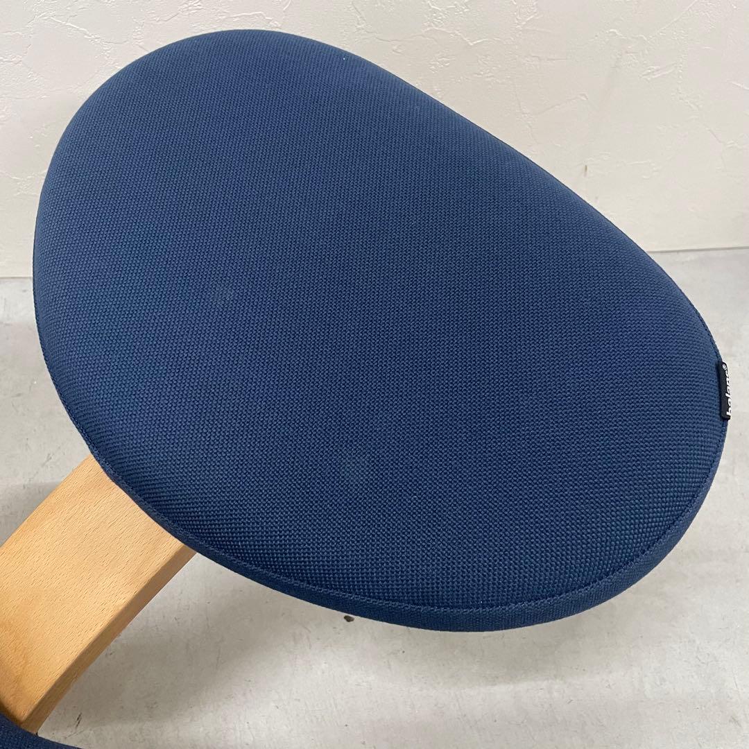 バランスチェア イージー ショートフレームバージョン ネイビー バランスラボ