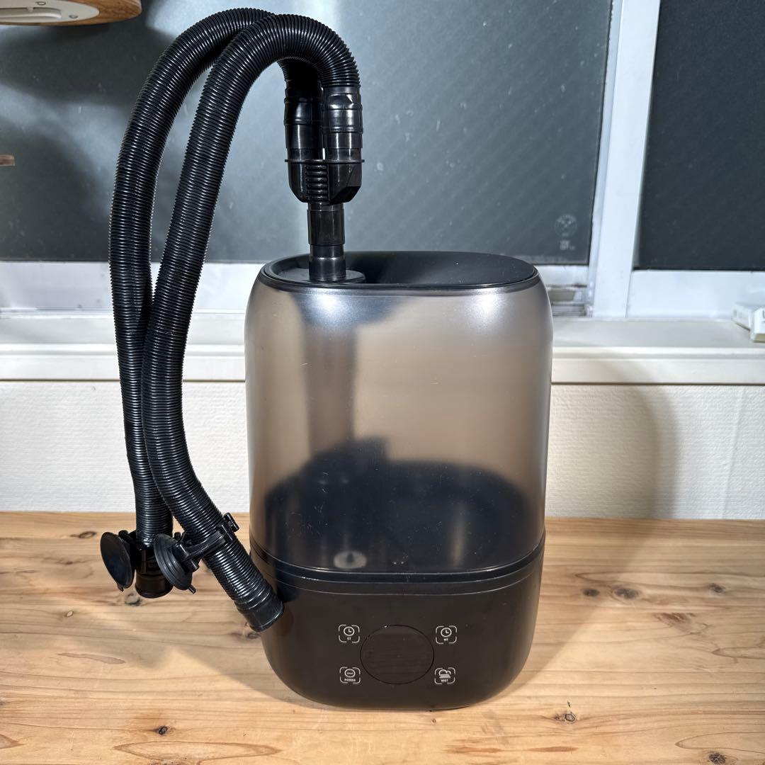 爬虫類　飼育セット　フトアゴ　リクガメ