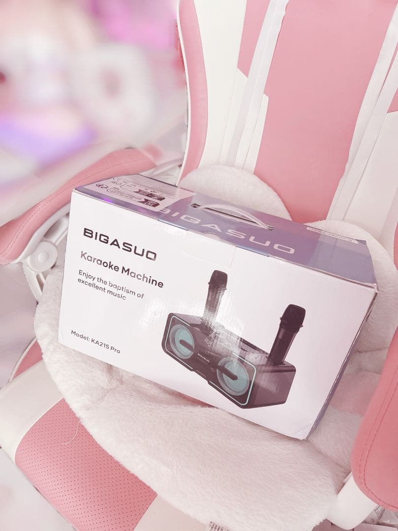 ワイヤレスマイク付きカラオケ機︴スピーカー