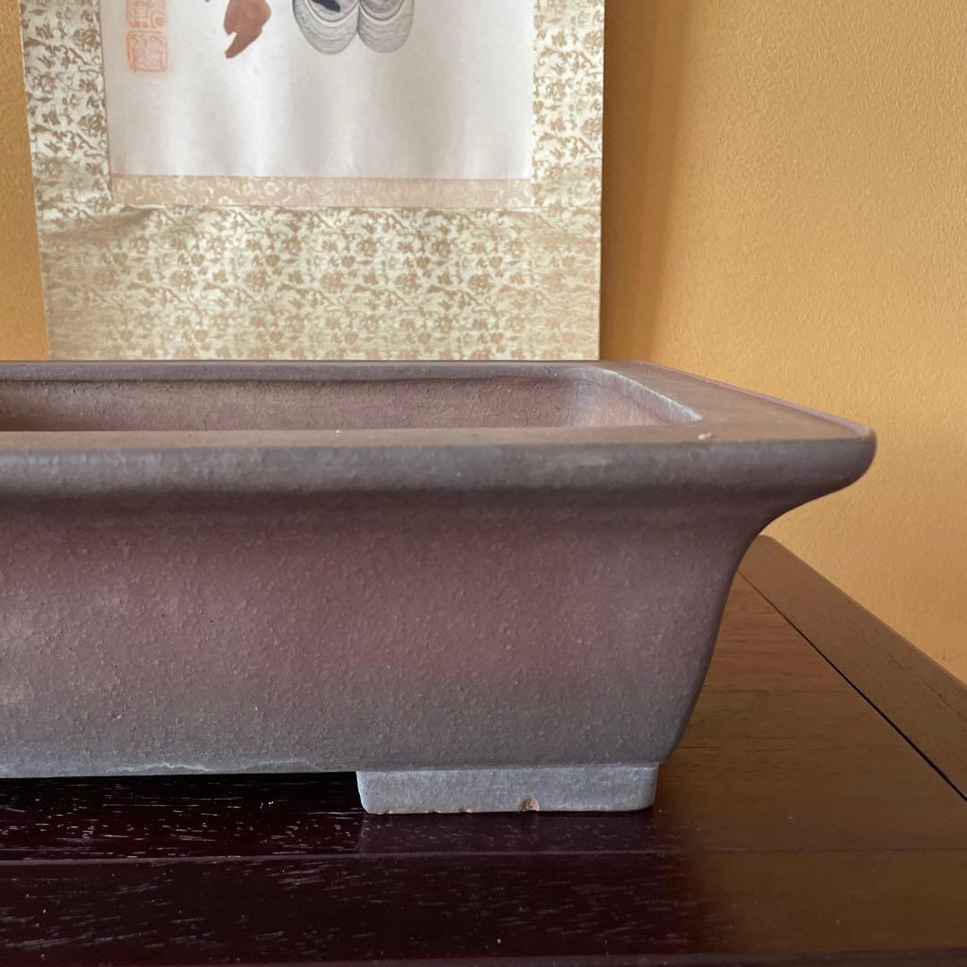 【落款あり】盆栽鉢 常滑 山秋造 松泉焼 紫泥 長方外縁泥物 43cm