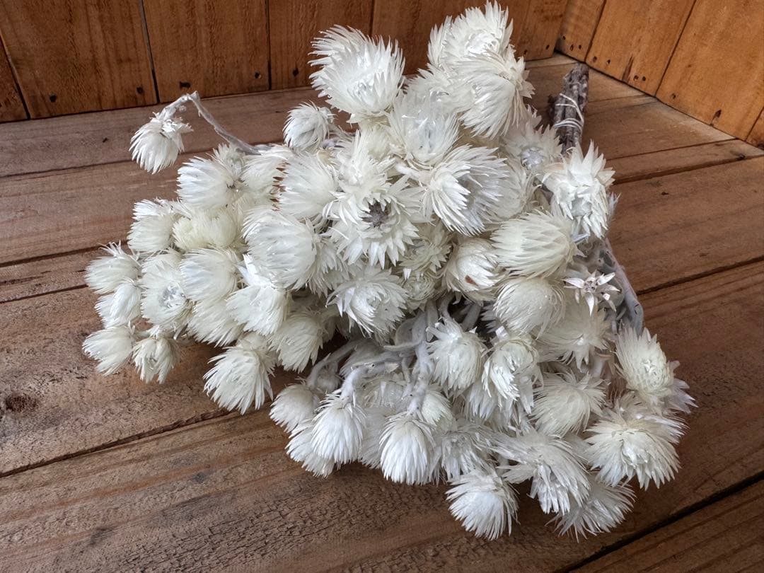 さんぽ様 リクエスト 4点 まとめ商品