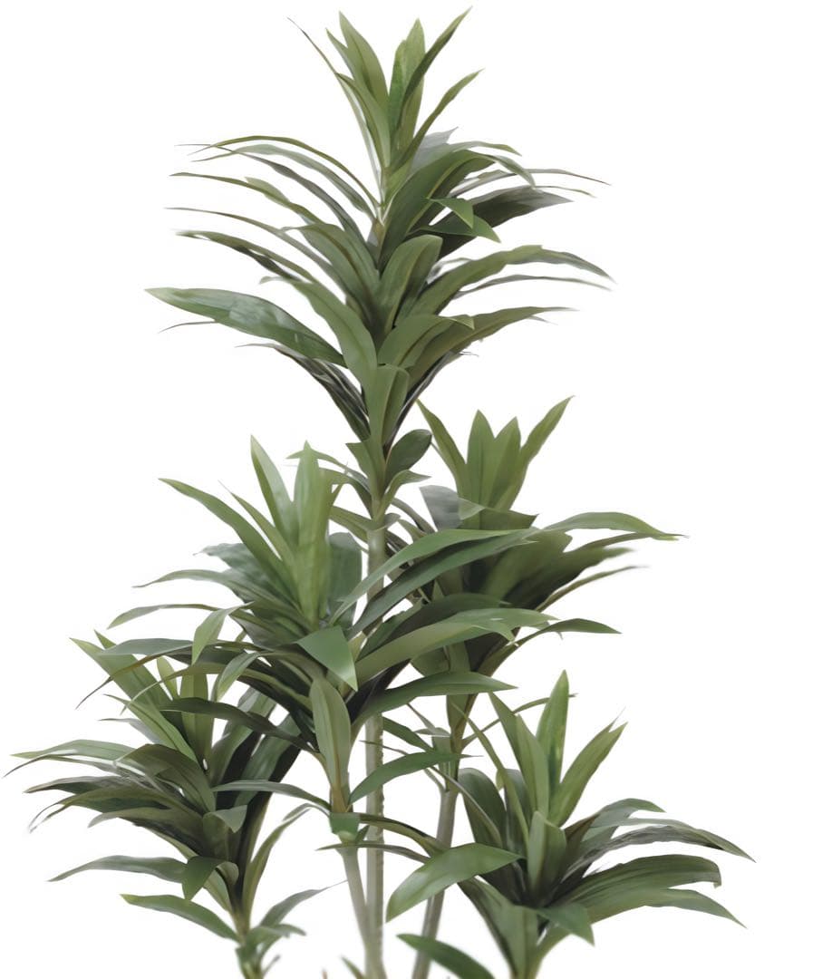 光触媒　人工観葉植物　フェイクグリーン　ドラセナコンパクタ1.25