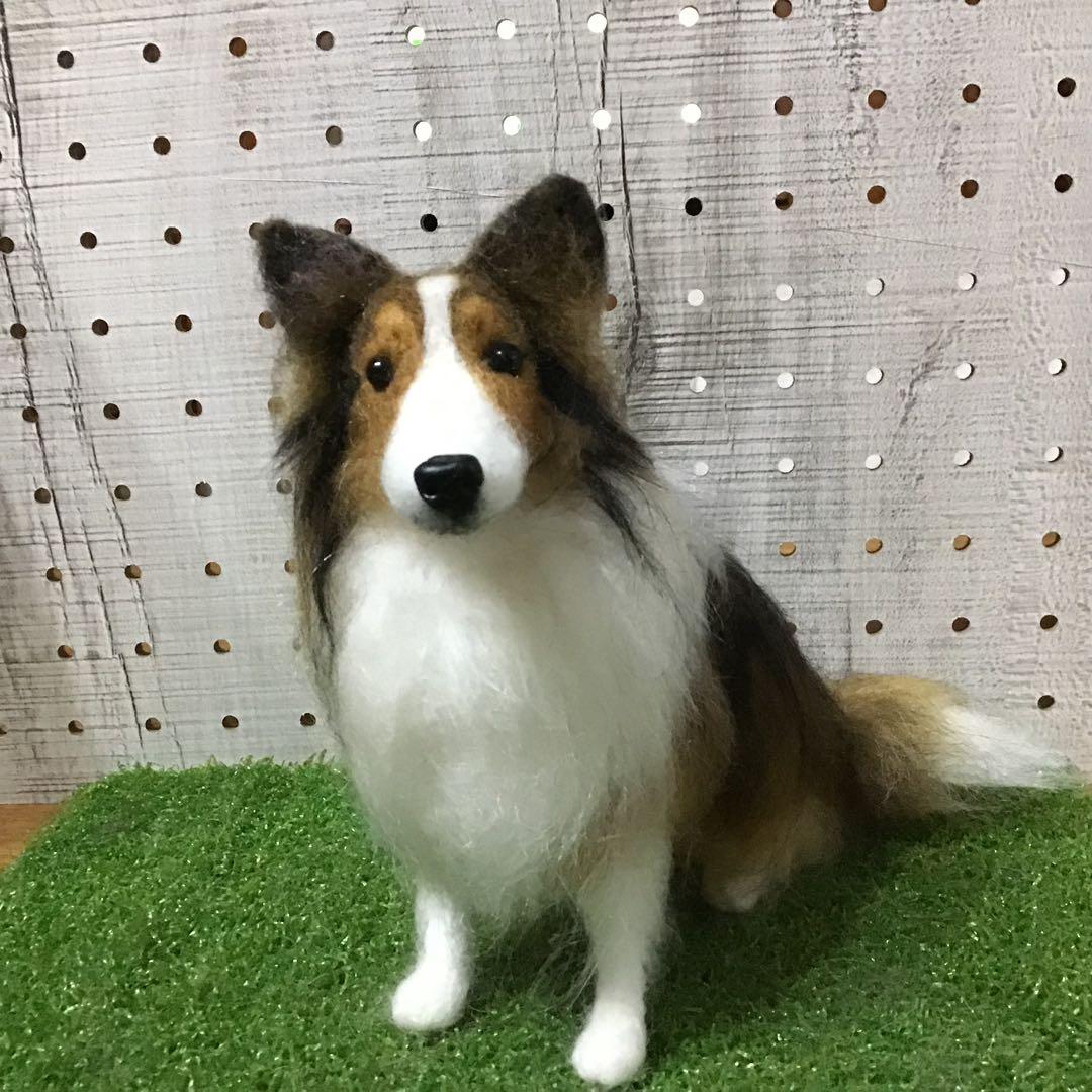 【渡辺様ご予約品】シェットランドシープドッグ（お座りポーズ）