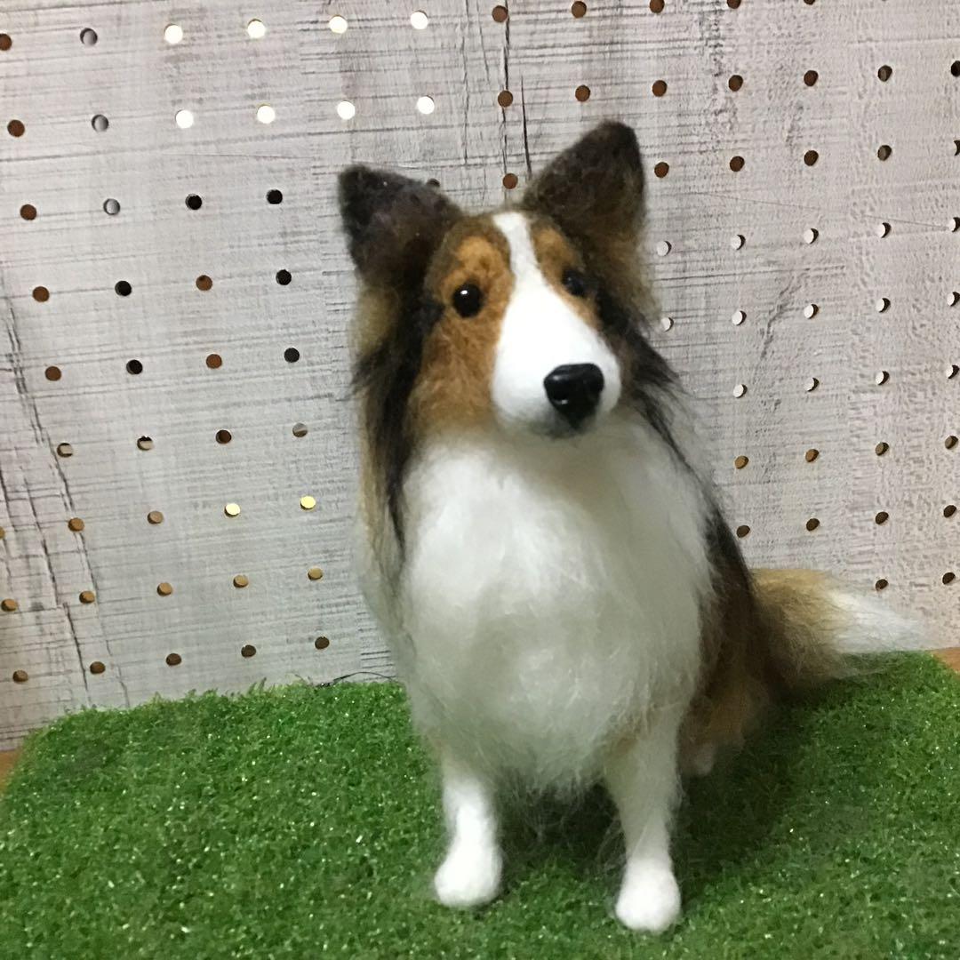 【渡辺様ご予約品】シェットランドシープドッグ（お座りポーズ）