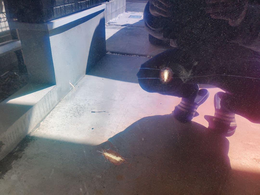 regza 65型　ジャンク品