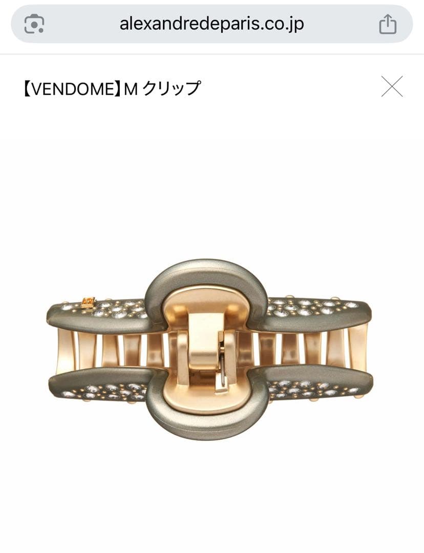 アレクサンドルドゥパリ　【VENDOME】M クリップ