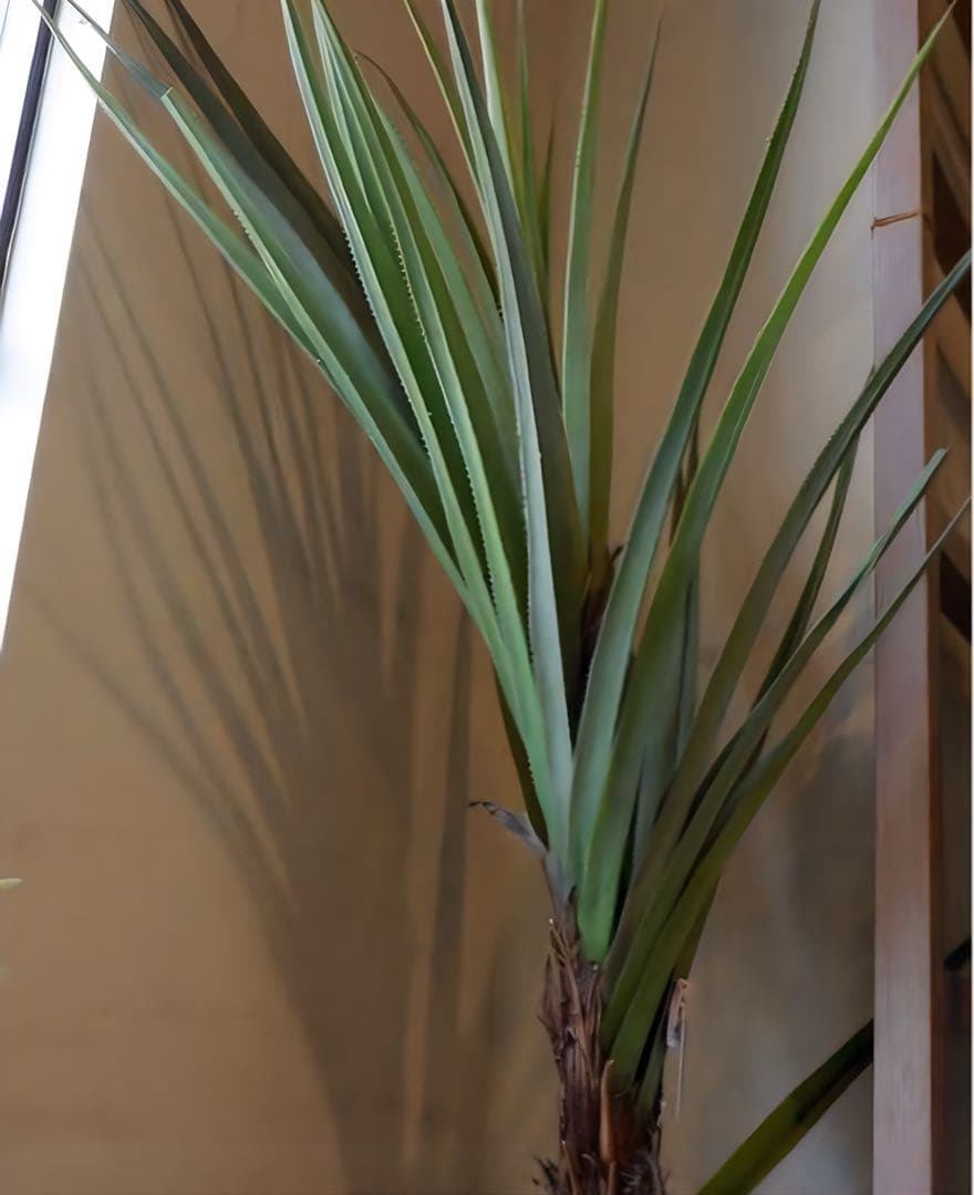 光触媒　人工観葉植物　ウォールグリーンフェイクグリーン　アカベテナータ160