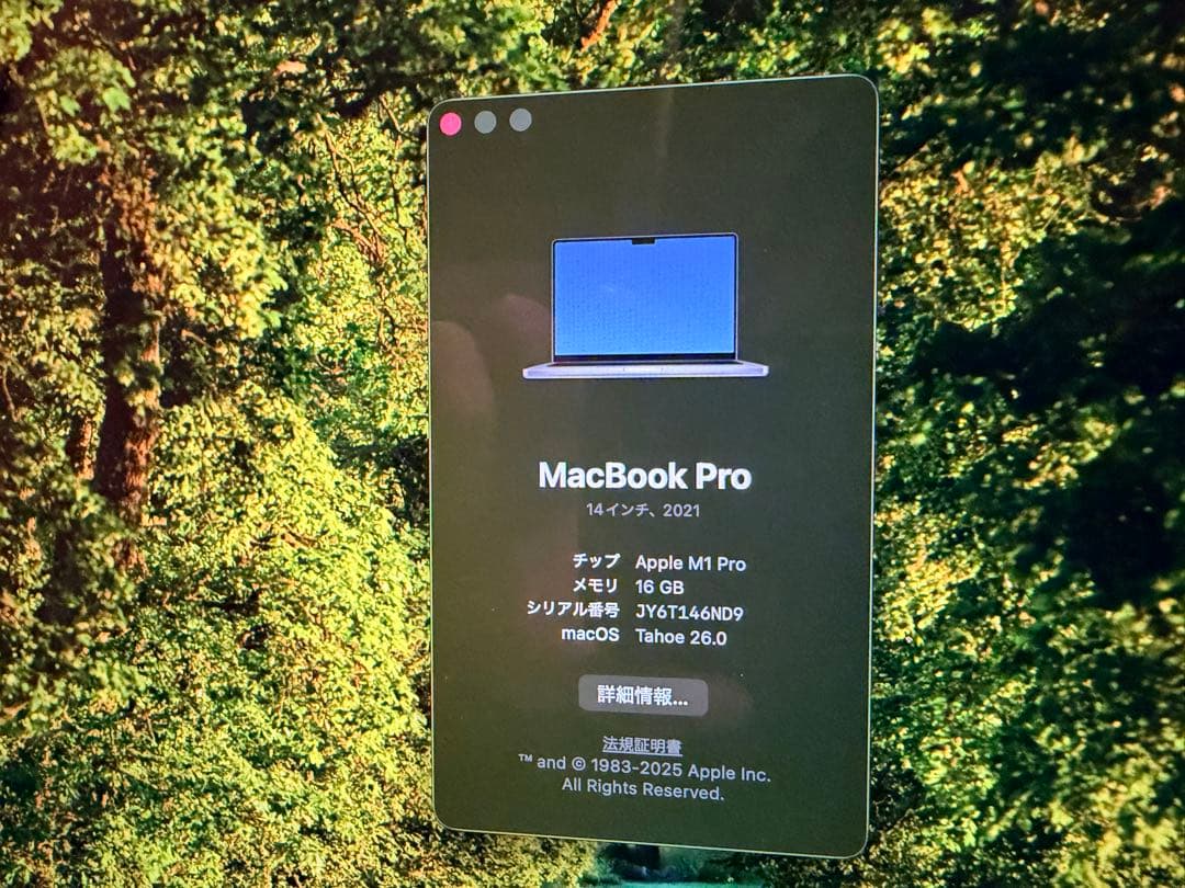 【吊るし】M1 MacBook Pro 日本語キーボード ステッカー付