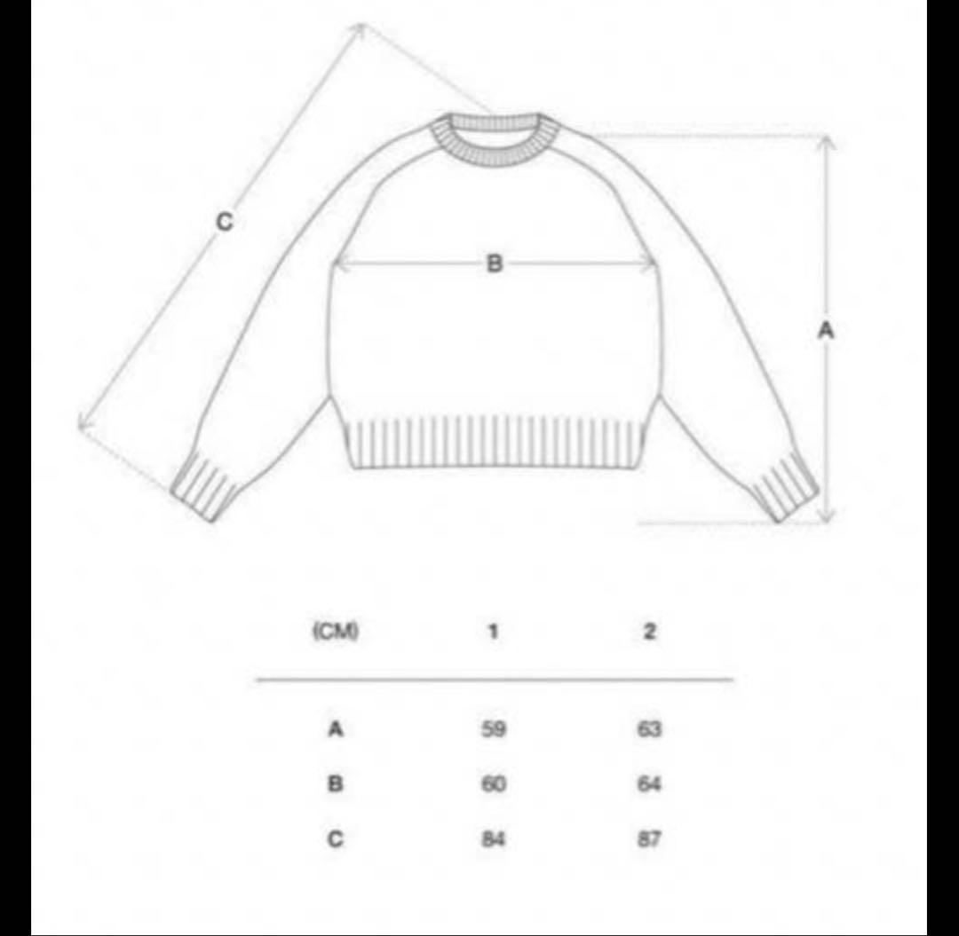 トップス simply complicated cotton knit size2