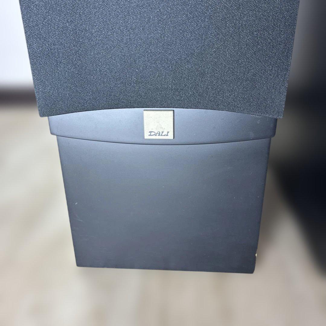 動作確認済みDALIトールボーイ型スピーカー「IKON 6 MK2」 ♣️0431