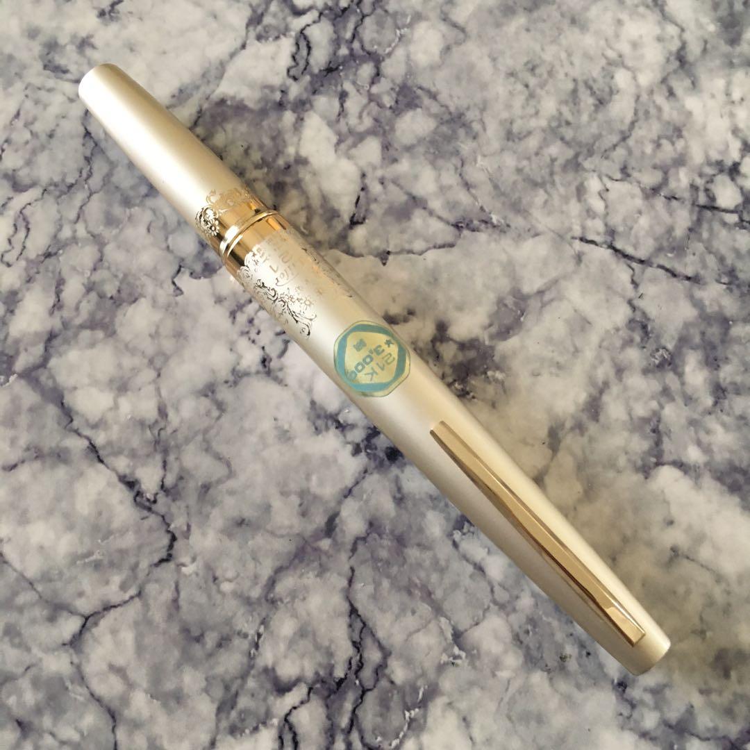 #0140 オーバーホール済み 万年筆 SAILOR ショート21k