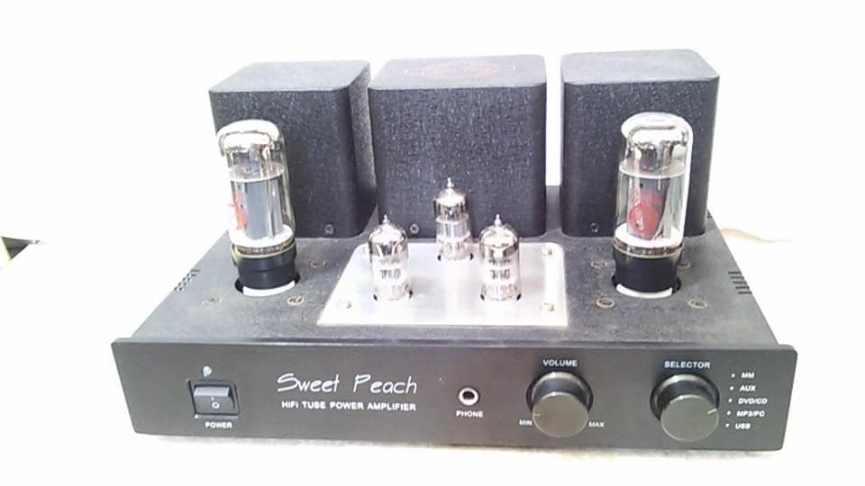 6L6 EH 真空管シングルアンプ　PEACHアンプベース