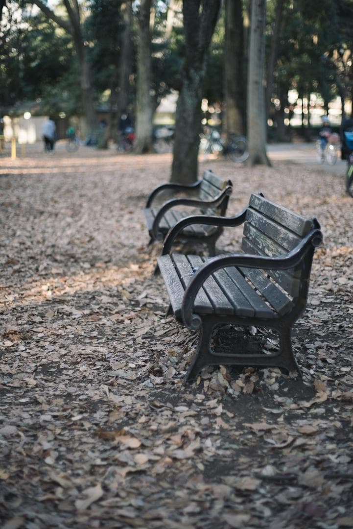 良品！標準の帝王！Planar 50mm F1.4 AEJ オールドレンズ